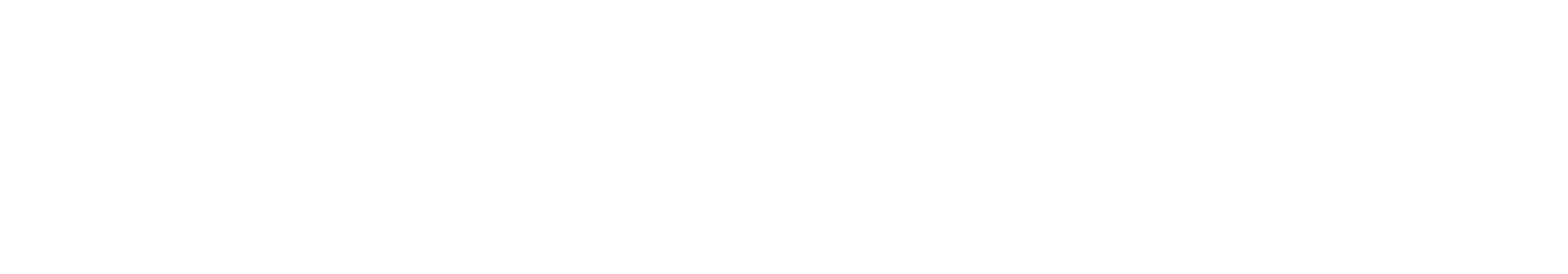 SCREEN SCOTLAND LOGO REV MONO